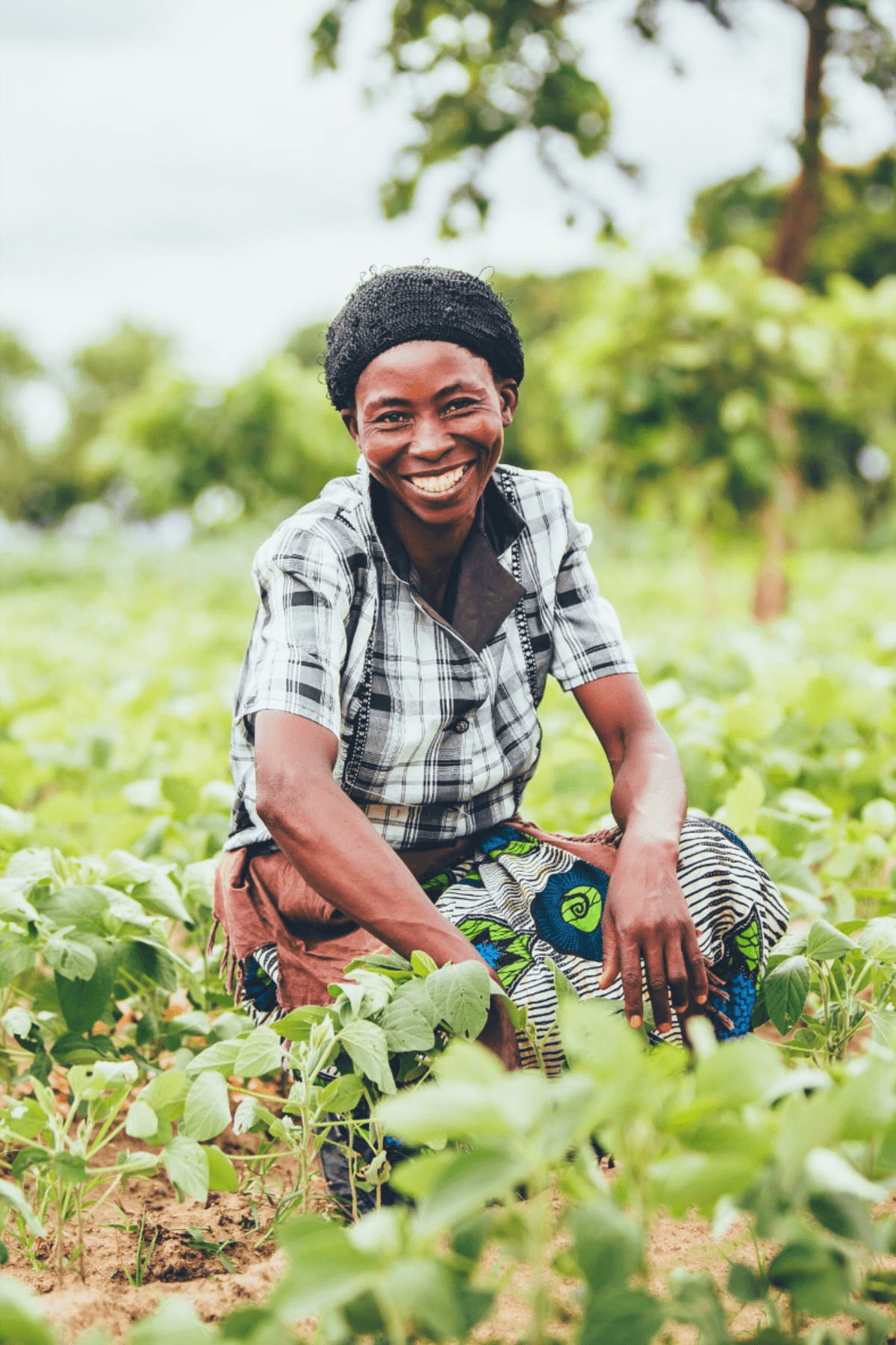Creating Lasting Agricultural Impact